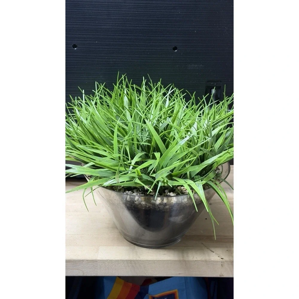 Artificial Grass Plant in Glass Pot Faux Green Decor ~12